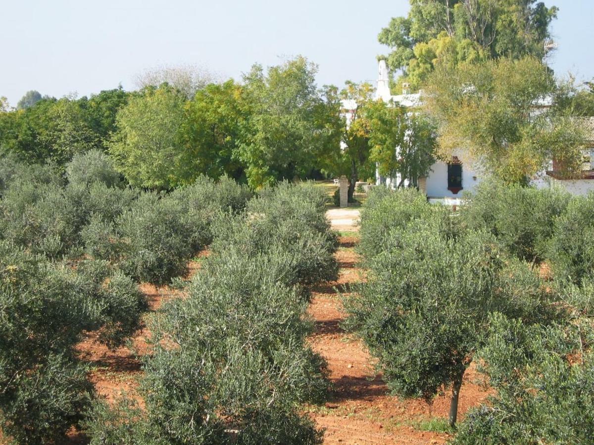 Hacienda Chambergo Casa En La Campina Sevillana Écija Exteriör bild